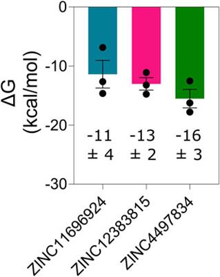 A potential allosteric inhibitor of SARS-CoV-2 main protease (Mpro) identified through metastable state analysis